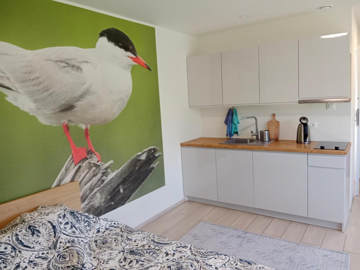Apartamenty I Domki Osinscy Braniewo Ngoại thất bức ảnh